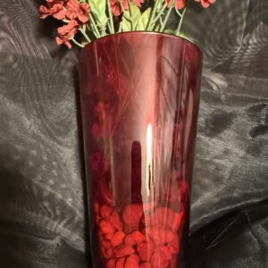 Red Transparent Vase